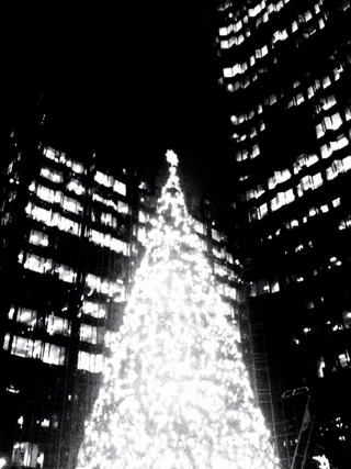 Illustration for article titled Photo Contest: Christmas Lights
